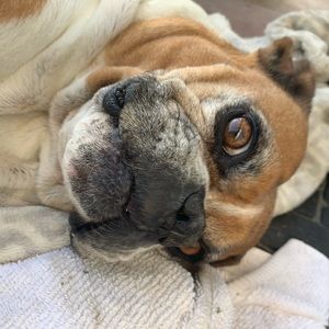 Meet your Posher, Jazmin